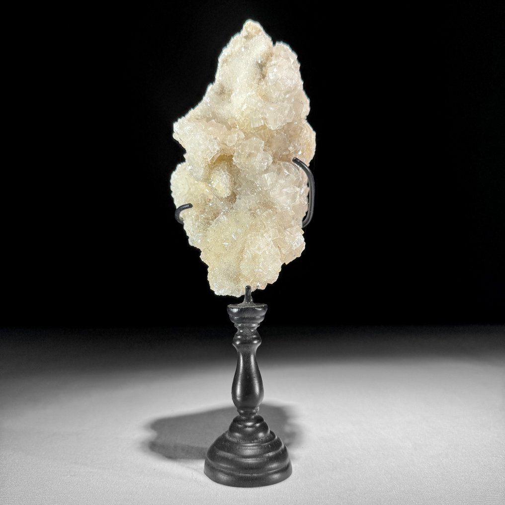 Zierornament (2) - NO RESERVE PRICE - Wonderful Pair of Turritella Heart & Quartz Crystal Cluster on stands - USA #2.1