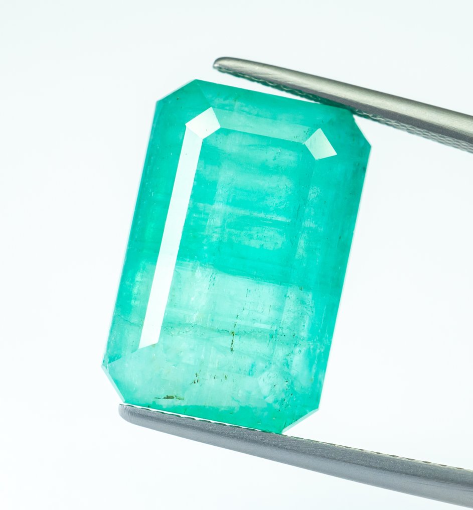 No reserve price Emerald - 19.70 ct - Bellerophon Gemlab - Bluish Green (Nigeria) #1.0