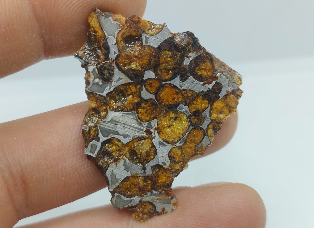 Sericho Pallasite 陨石切片- 13.4 g #4.3