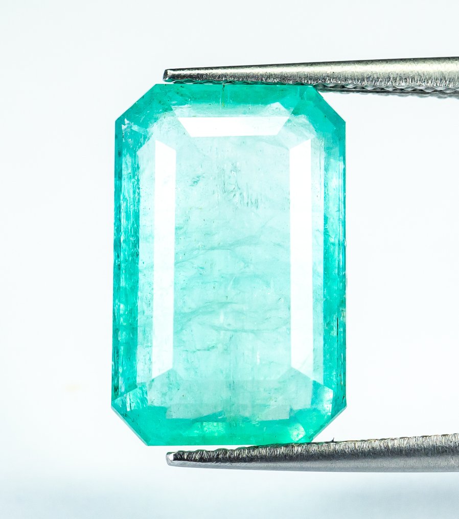 No reserve price Emerald - 9.84 ct - Bellerophon Gemlab - Bluish Green (Nigeria) #1.0