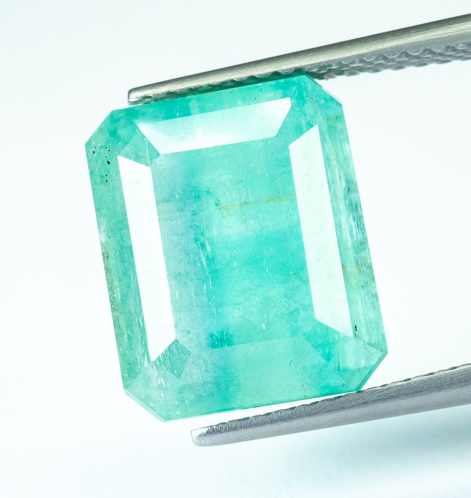 Ohne mindestpreis Smaragd - 7.01 ct - Bellerophon Gemlab - Bläulich-grün (Nigeria) #1.0