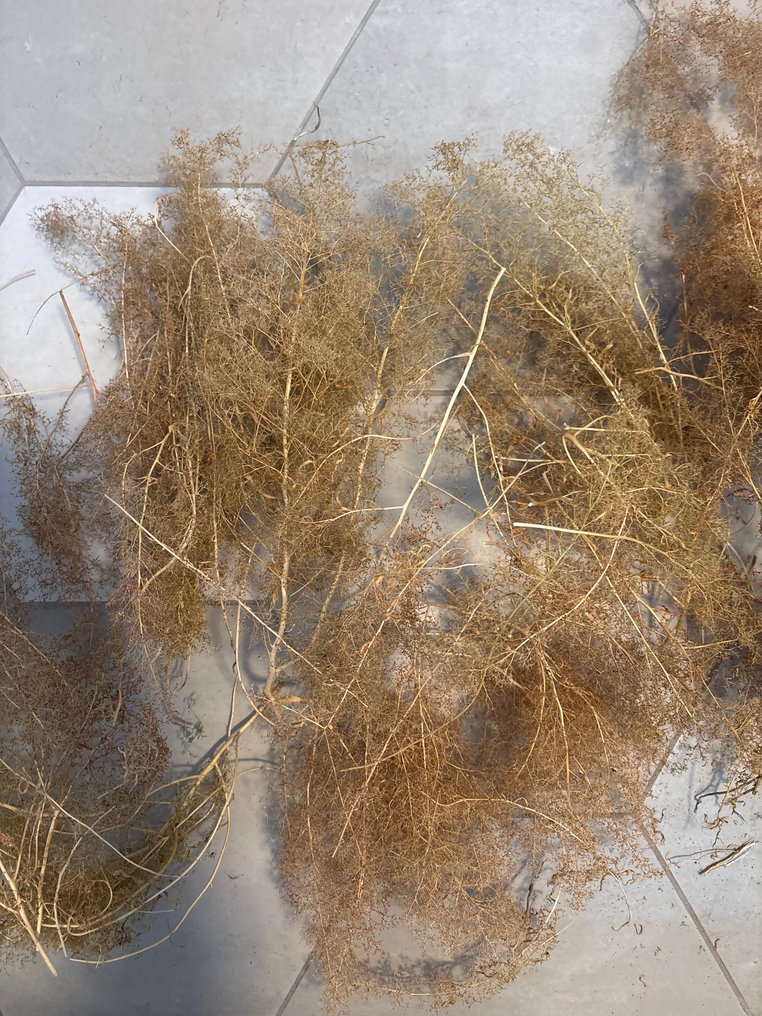 Geen merk H0 - Model train scenery (50) #2.1