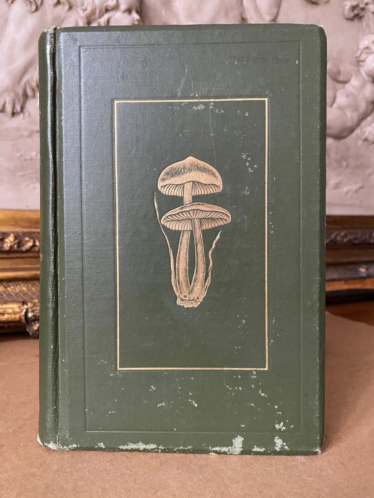 George Massee - British Fungi With a Chapter on Lichens. {40 Coloured plates} - 1920 #1.0