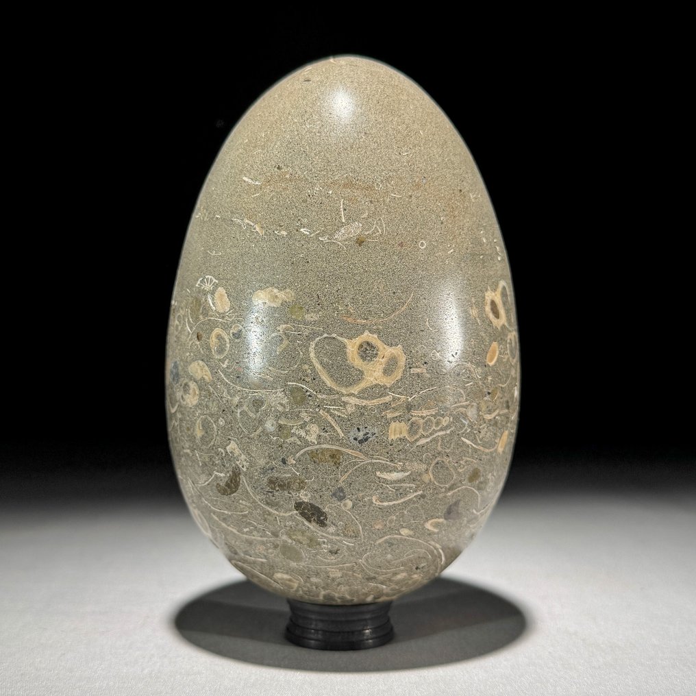 Dekorativ prydnad (2) - NO RESERVE PRICE - Wonderful Pair of Turritella Egg Shape and Cube Calcite Crystal Cluster on stand - Indonesien #2.1