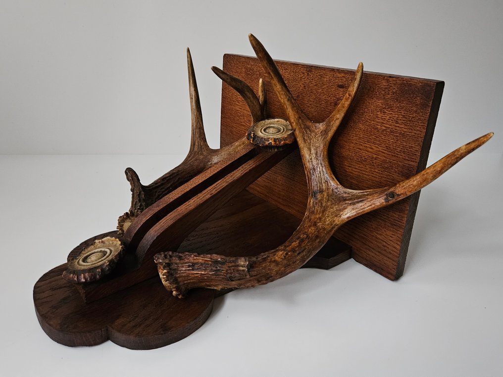 墙面装饰 - 古董控制台配有高贵的鹿角 - 法国 #1.0