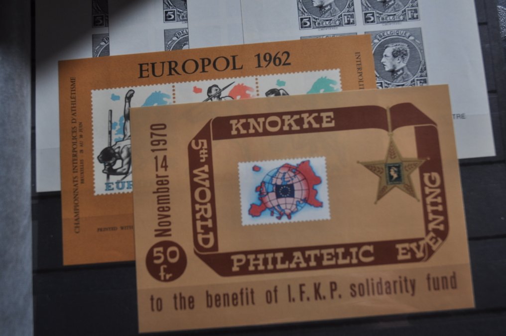 Belgium - Collection of Erinnofilie, black prints, and more in stock books and an album. #3.2