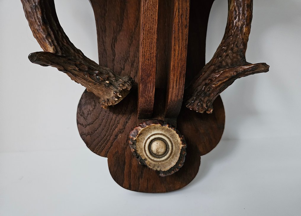 墙面装饰 - 古董控制台配有高贵的鹿角 - 法国 #3.2