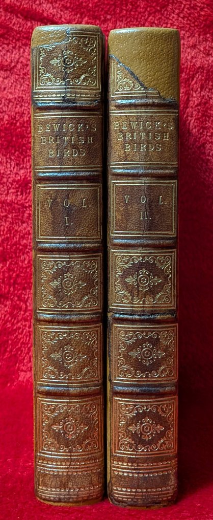 Thomas Bewick - A History of British Birds - 1847 #2.1