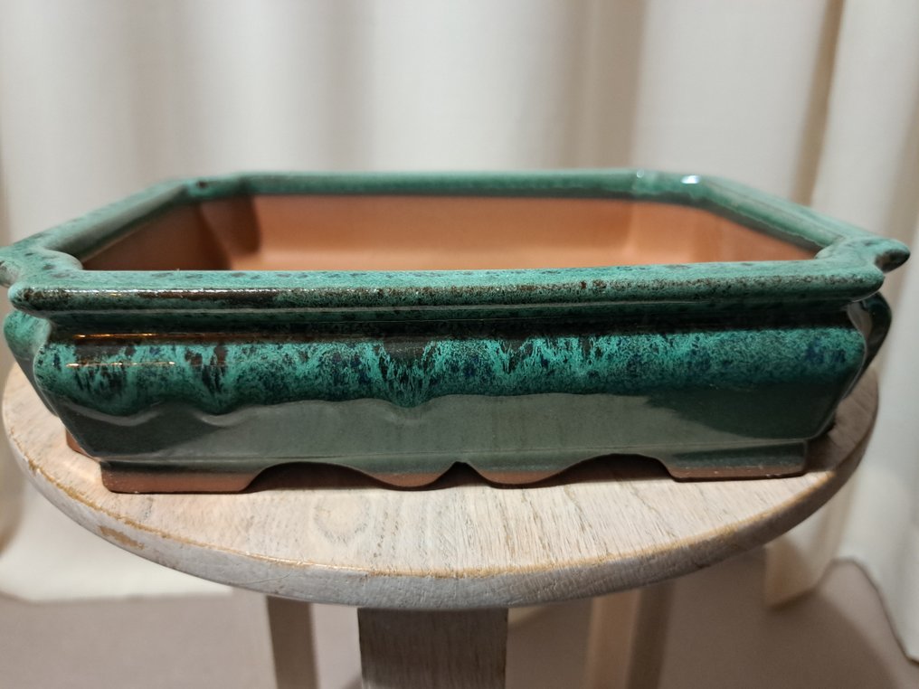Bonsai tray - 8.5x6.7x2.2 inches - green glazed - Height (Tree): 0 cm - Depth (Tree): 0 cm - Japan #4.3