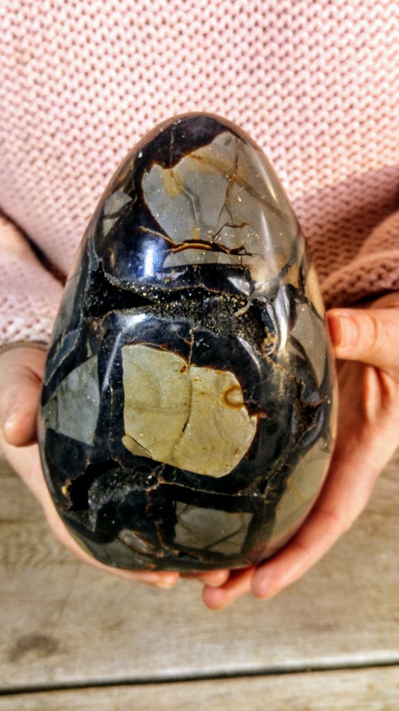 Massive  1,6 kg - Septarian - Egg Druse Cluster Freeform - Height: 17 cm - Width: 9 cm- 1965 g #4.3