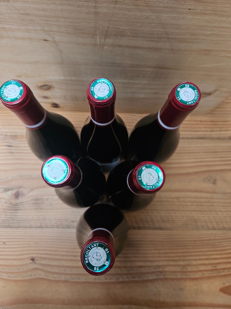 2022 Domaine des Ronces - Τζούρα - 6 Bottles (0.75L) #2.1