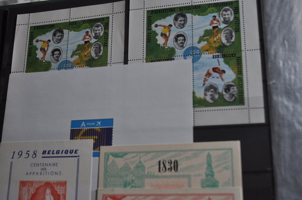 Belgium - Collection of Erinnofilie, black prints, and more in stock books and an album. #4.3