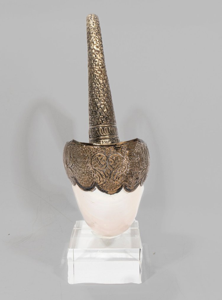 意大利天鹅雕塑，配有 Nautilus 螺旋壳，放置在优质亚克力底座上。 標本牆壁支架 - Nautilus - 30 cm - 21 cm - 0 cm - 非《瀕臨絕種野生動植物國際貿易公約》物種 - 1 #2.1