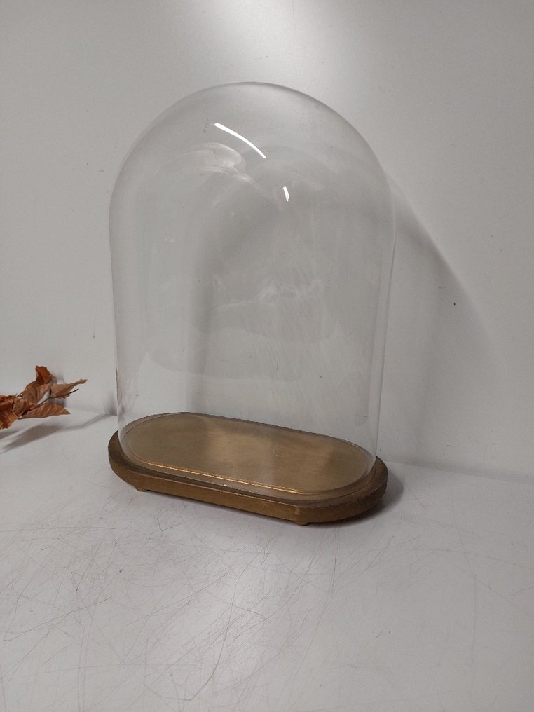 钟形罩 - 玻璃 - 1950-1960 - 玻璃椭圆形塔 #2.1