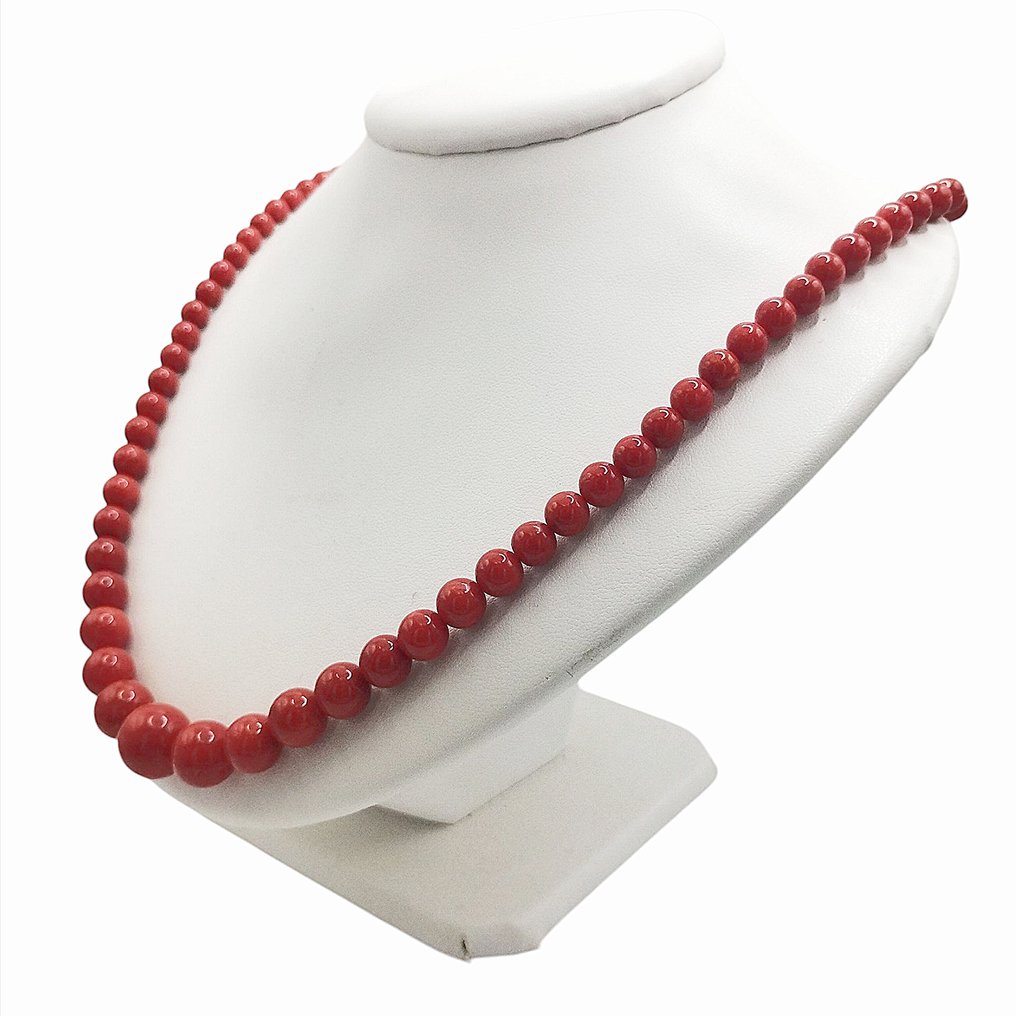 Red Coral Κοράλλι - Corallium rubrum #1.0