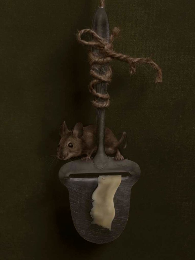 Kaat Stieber - Kaat Stieber - Cheese | Giclée Print - Signed - Numbered Edition - Contemporary #2.1