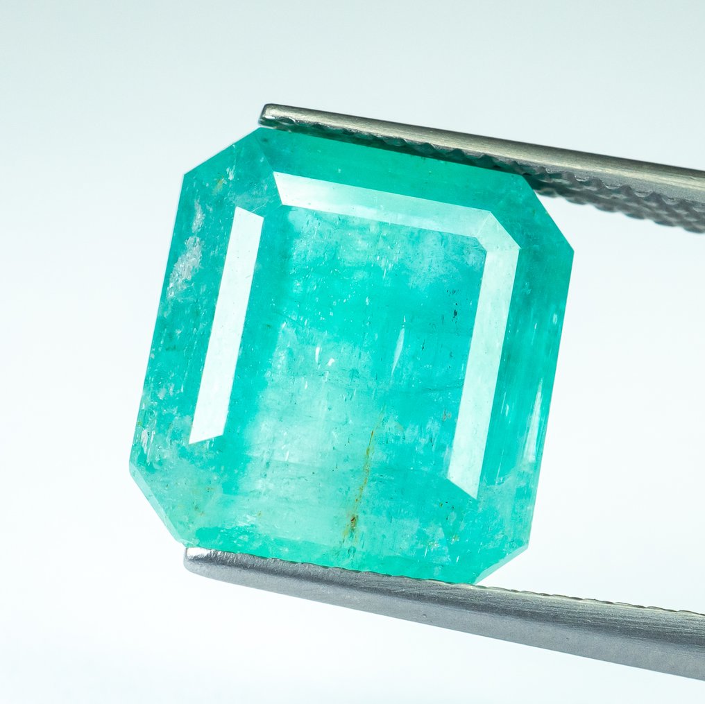 沒有保留價 祖母綠 - 7.69 ct - Bellerophon Gemlab - 蓝绿色(尼日利亚) #2.1