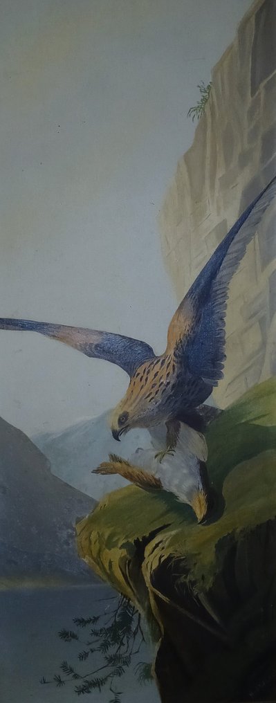 M. Walsh (XIX) - Eagle on Cliff - NO RESERVE #1.0