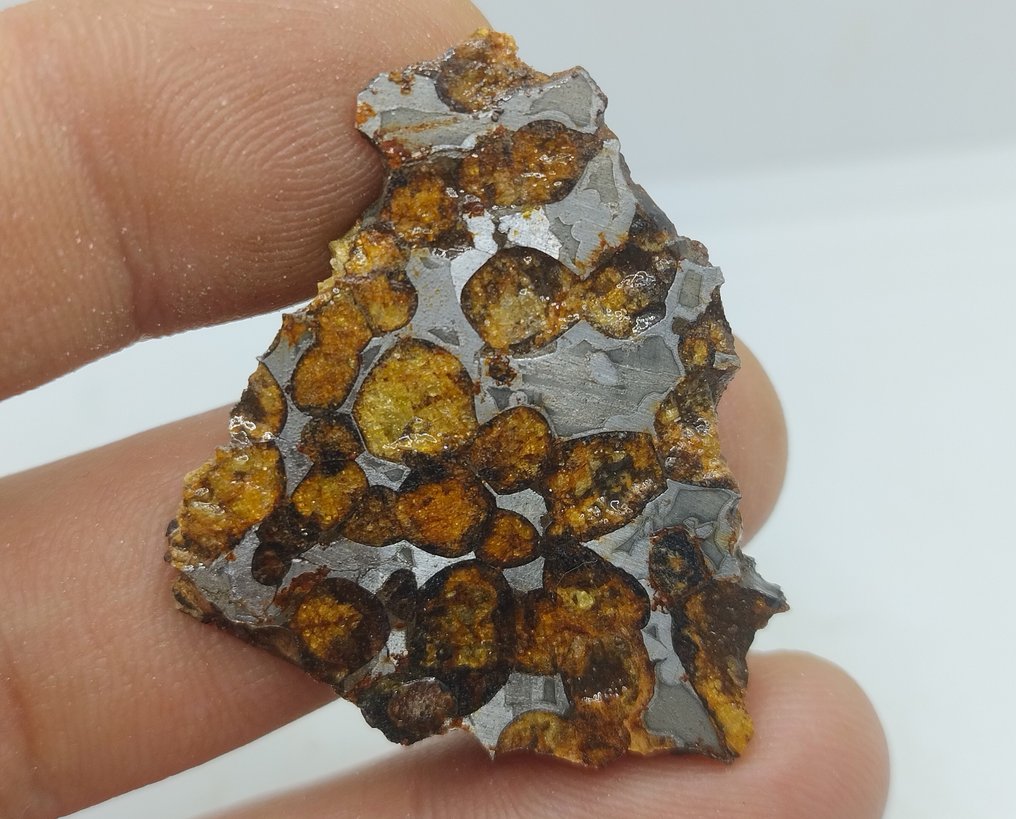Sericho Pallasite 陨石切片- 13.4 g #2.1