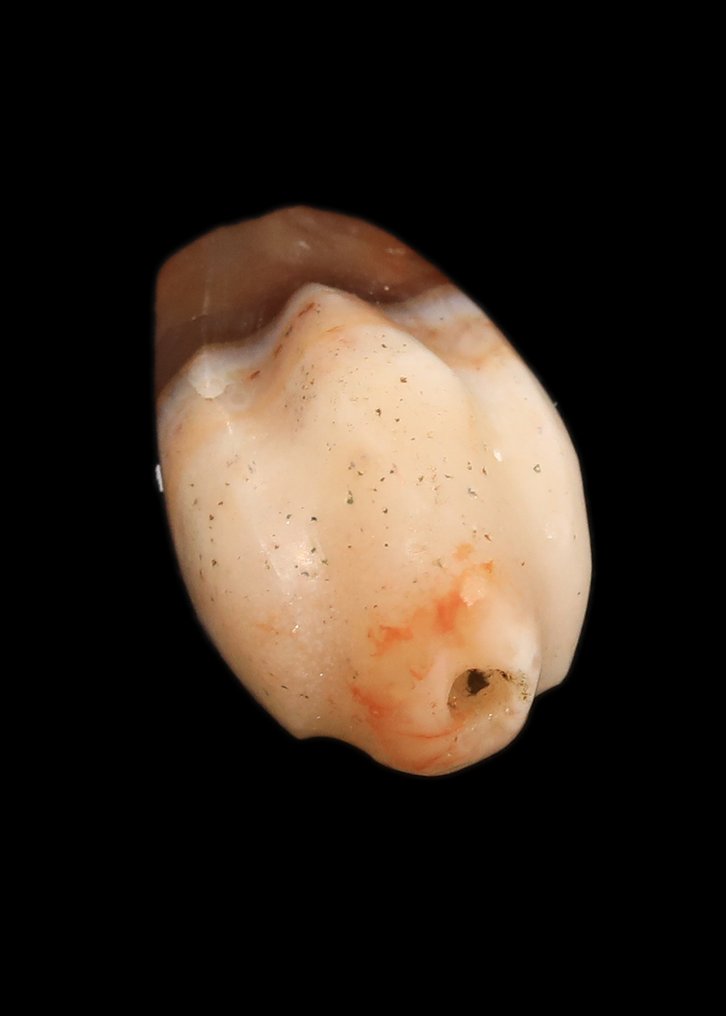 Old Babylonian Banded Agate Duck Weight Amulet #4.3