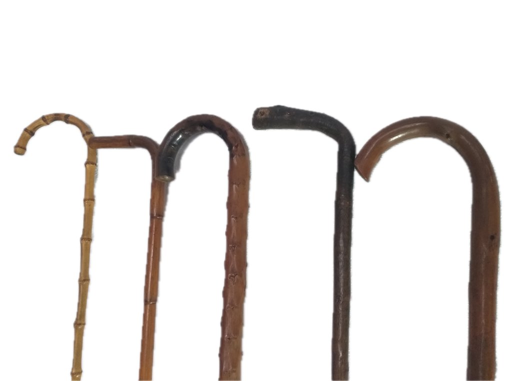 Μπαστούνι  (5) - Ξύλο φρούτων, καρυδιά, κισσός, μπαμπού - Πέντε αρχαία μπαστούνια #1.0