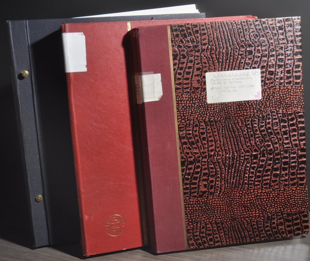 卢森堡  - 从经典开始的收藏，放在DAVO相册和各种存货簿中。 #1.0