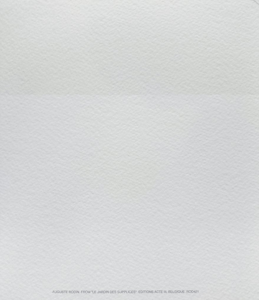 Auguste Rodin (1840-1917) (after) - From "Le Jardin des supplices" - (60x80cm) #3.2