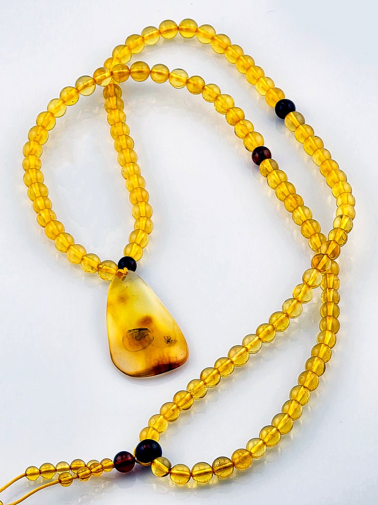 Κεχριμπάρι - Collector’s Fossil AMBER Necklace - Detailed WASP Inclusion in Pendant (χωρίς τιμή ασφαλείας) #3.2