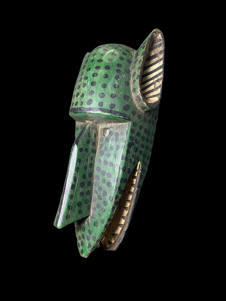 鬣狗 - Bozo - 马里 (没有保留价) #3.2