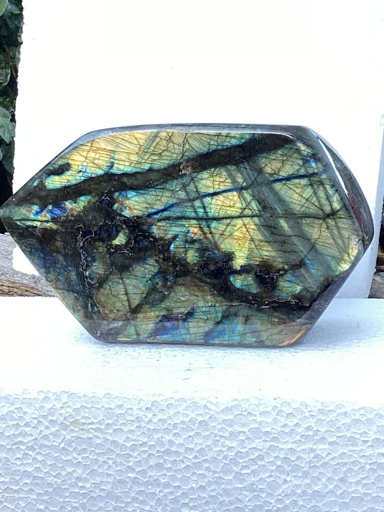 Labradoryt Dowolna forma - Wysokość: 13 cm - Szerokość: 10 cm- 1396 g - (1) #1.0