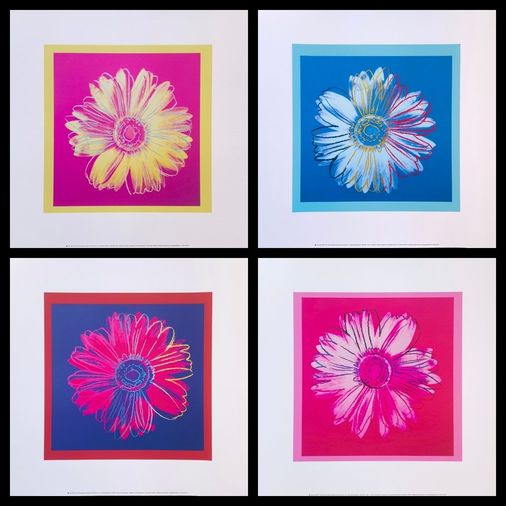 Andy Warhol (1928-1987) (after) - "Daisy, c.1982" · Set of 4 variants #1.0