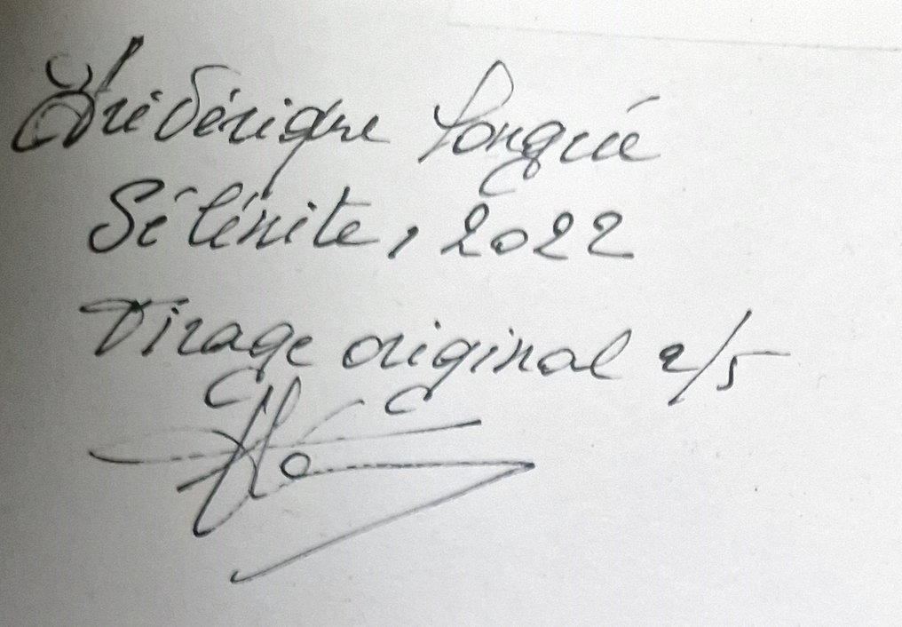 Frédérique Longrée - Sélénite III #4.3