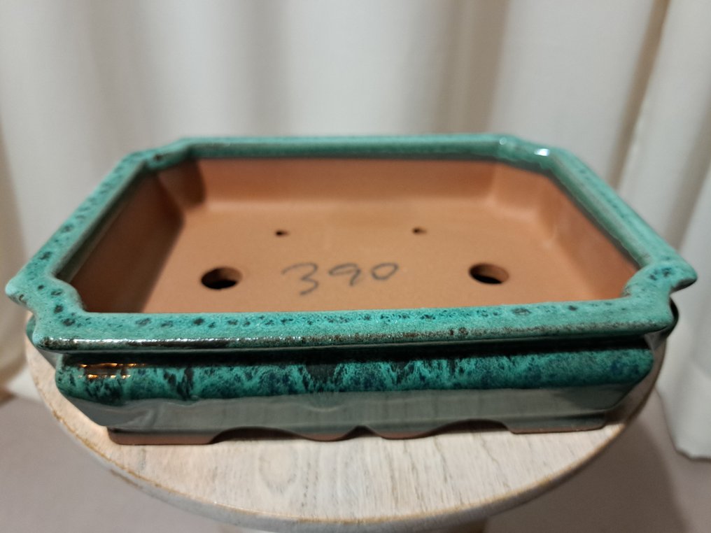 Bonsai tray - 8.5x6.7x2.2 inches - green glazed - Height (Tree): 0 cm - Depth (Tree): 0 cm - Japan #3.2