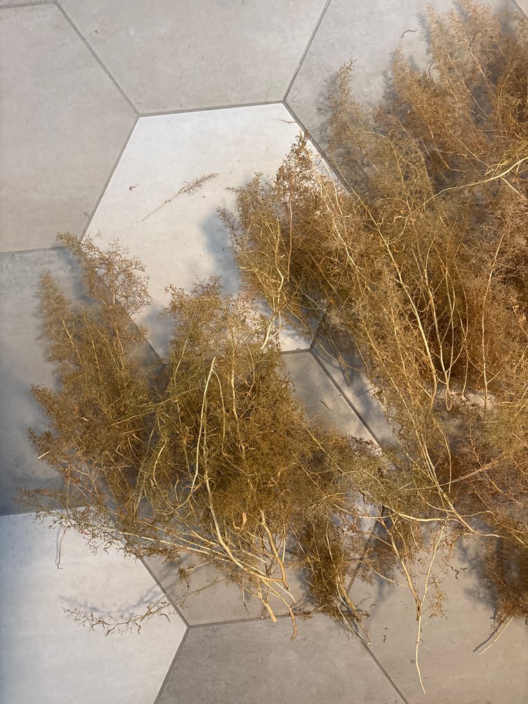 Geen meek H0 - Peisaj machetă tren (90) #1.0