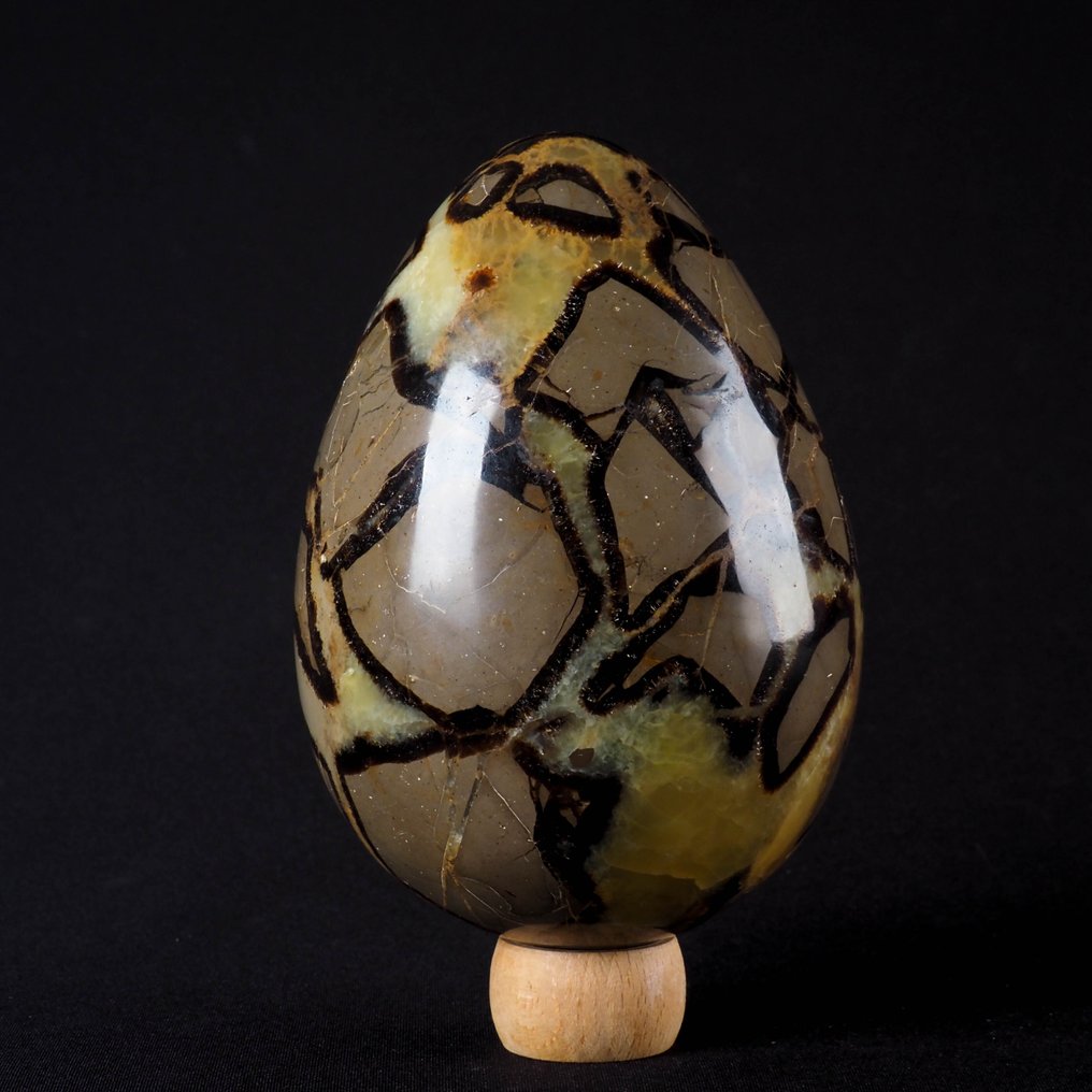 Brak ceny rezerwowej - jakość A+++ Septarie. Jajko - Wysokość: 14 cm - Szerokość: 9.4 cm- 1.9 kg #1.0