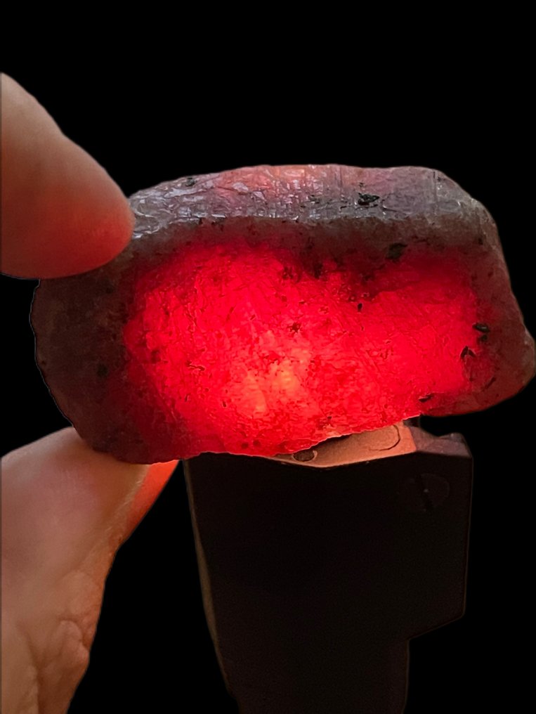 红宝石 真正的宝石！令人惊艳的277克拉莫桑比克巨型血红宝石。晶莹剔透，绝美天然，100%珍贵。 - 高度: 50 mm - 宽度: 26 mm- 55.4 g #3.2