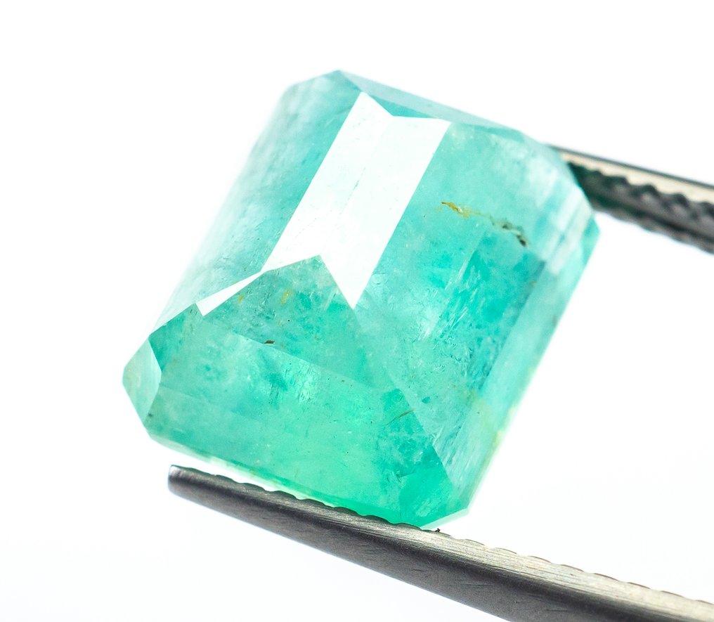 Ohne mindestpreis Smaragd - 7.01 ct - Bellerophon Gemlab - Bläulich-grün (Nigeria) #4.3