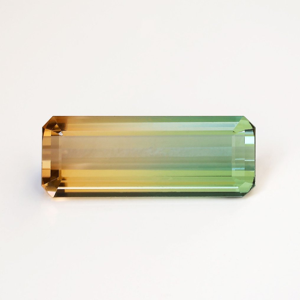 1 pcs 粉色 电气石 - 13.94 ct - 亚洲宝石科学院(AIGS) #1.0