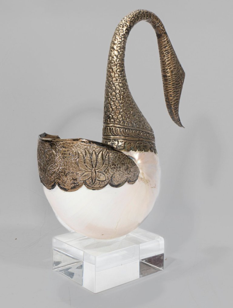 意大利天鹅雕塑，配有 Nautilus 螺旋壳，放置在优质亚克力底座上。 標本牆壁支架 - Nautilus - 30 cm - 21 cm - 0 cm - 非《瀕臨絕種野生動植物國際貿易公約》物種 - 1 #3.2