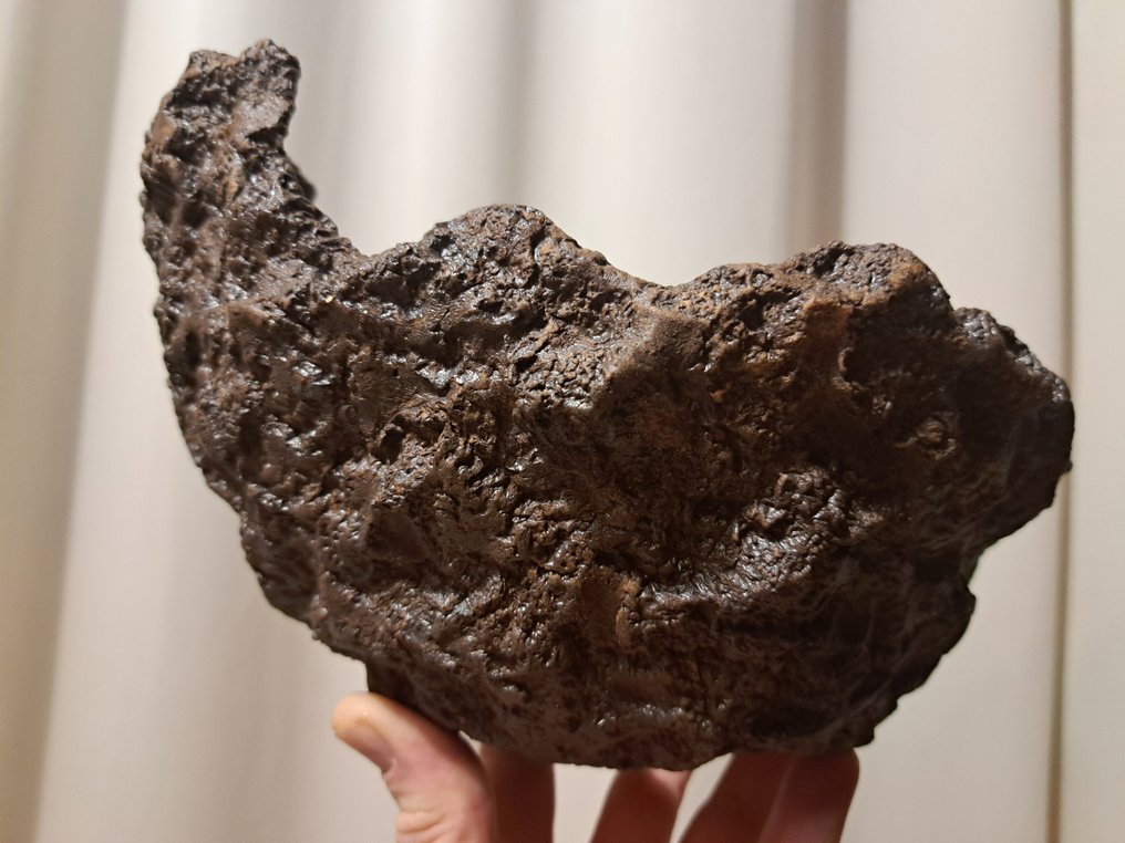 盆栽盆 - 22x17x14厘米 - 未上釉 - 高度 (树干): 0 cm - 深度 (树干): 0 cm - 日本 #1.0