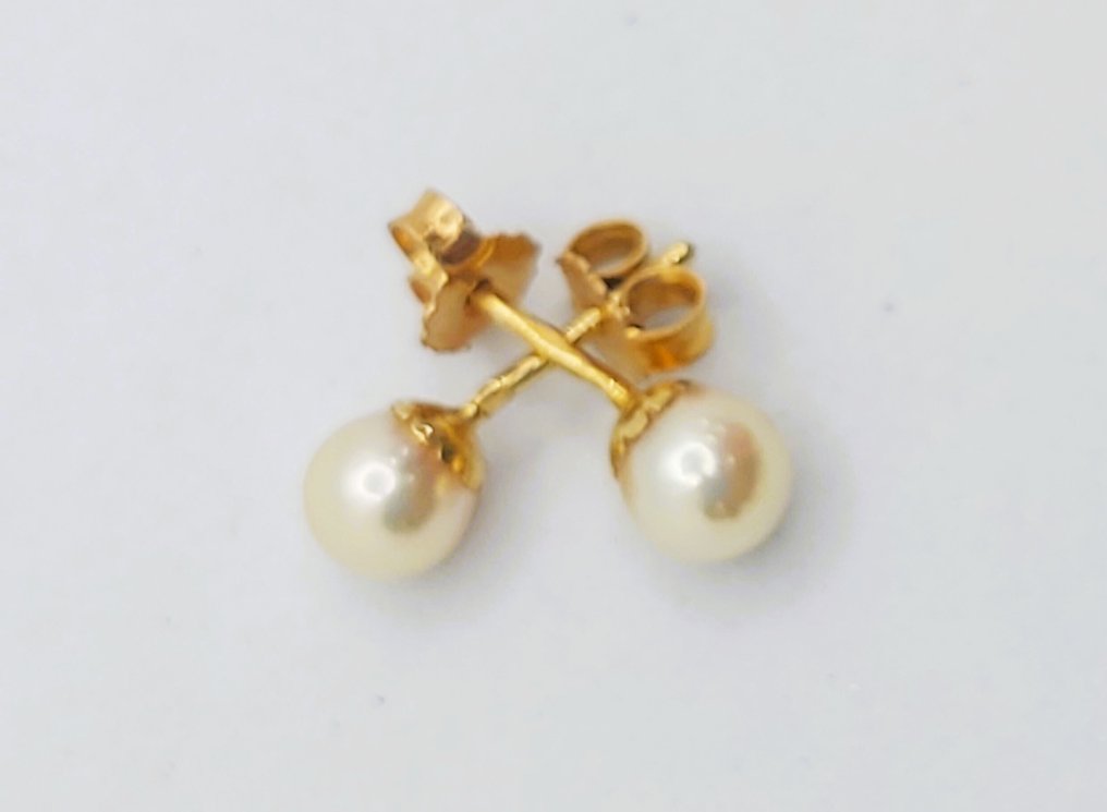 没有保留价 - 耳环 - 19.2克拉 黄金 珍珠 #2.1