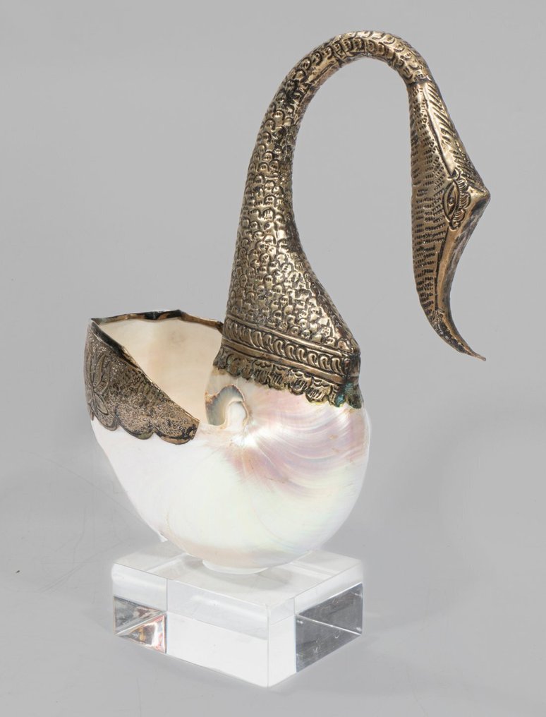 意大利天鹅雕塑，配有 Nautilus 螺旋壳，放置在优质亚克力底座上。 標本牆壁支架 - Nautilus - 30 cm - 21 cm - 0 cm - 非《瀕臨絕種野生動植物國際貿易公約》物種 - 1 #1.0