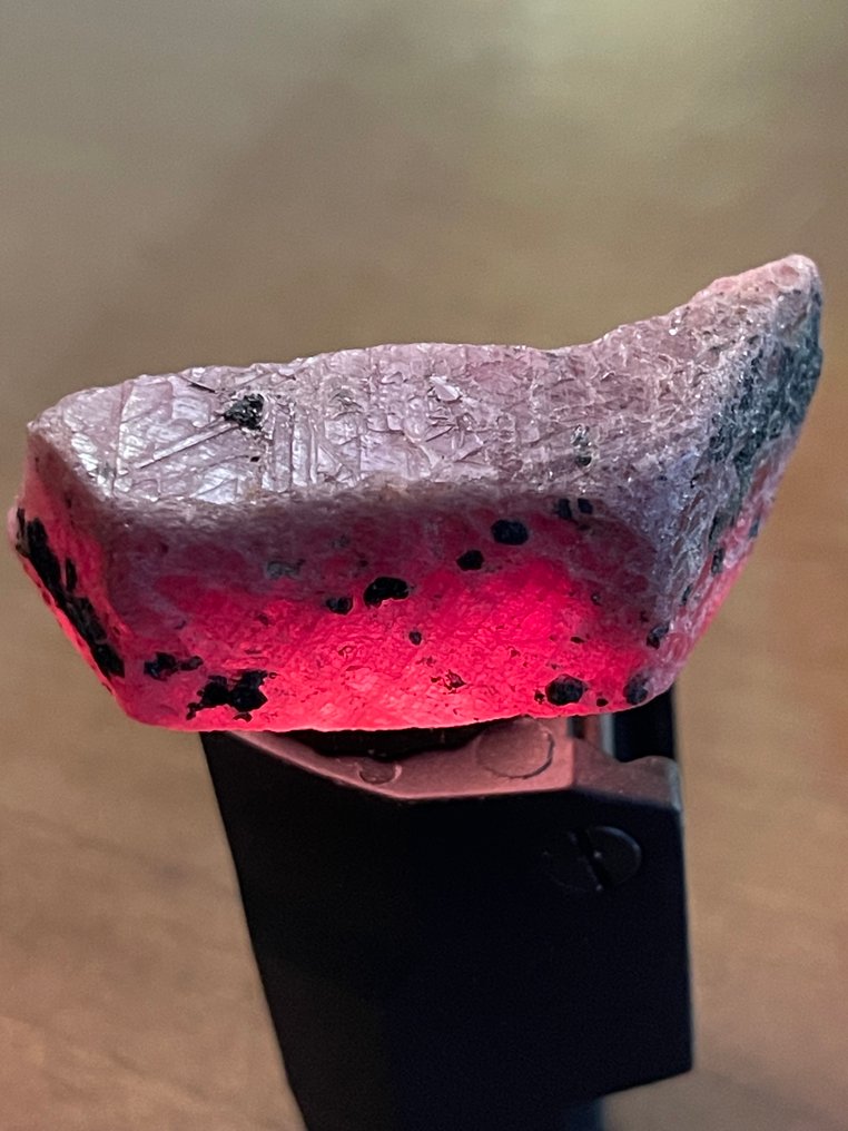 红宝石 真正的宝石！令人惊艳的277克拉莫桑比克巨型血红宝石。晶莹剔透，绝美天然，100%珍贵。 - 高度: 50 mm - 宽度: 26 mm- 55.4 g #2.1