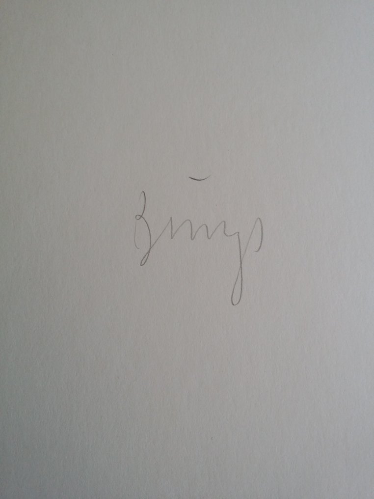 Joseph Beuys (1921-1986) - Madrid Codex von Leonardo da Vinci with hansigned lithograph. #3.2