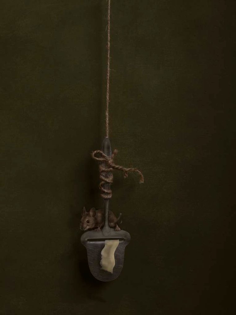 Kaat Stieber - Kaat Stieber - Cheese | Giclée Print - Signed - Numbered Edition - Contemporary #1.0