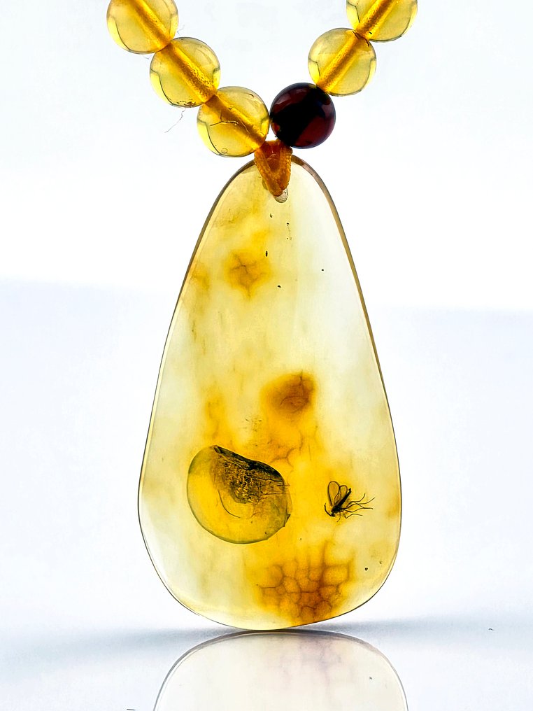 Κεχριμπάρι - Collector’s Fossil AMBER Necklace - Detailed WASP Inclusion in Pendant (χωρίς τιμή ασφαλείας) #1.0