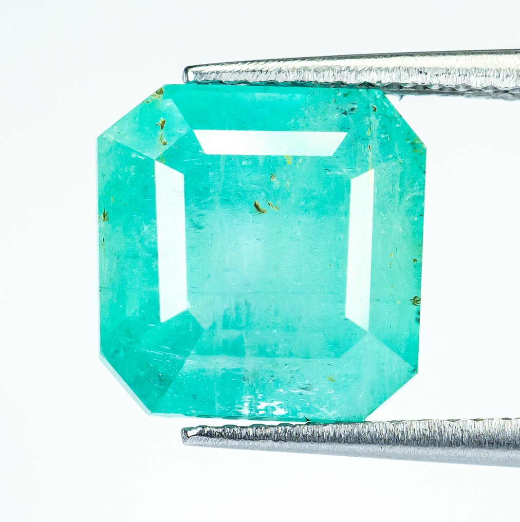 χωρίς τιμή ασφαλείας Σμαράγδι - 7.29 ct - Bellerophon Gemlab - Μπλε-πράσινο (Νιγηρία) #1.0