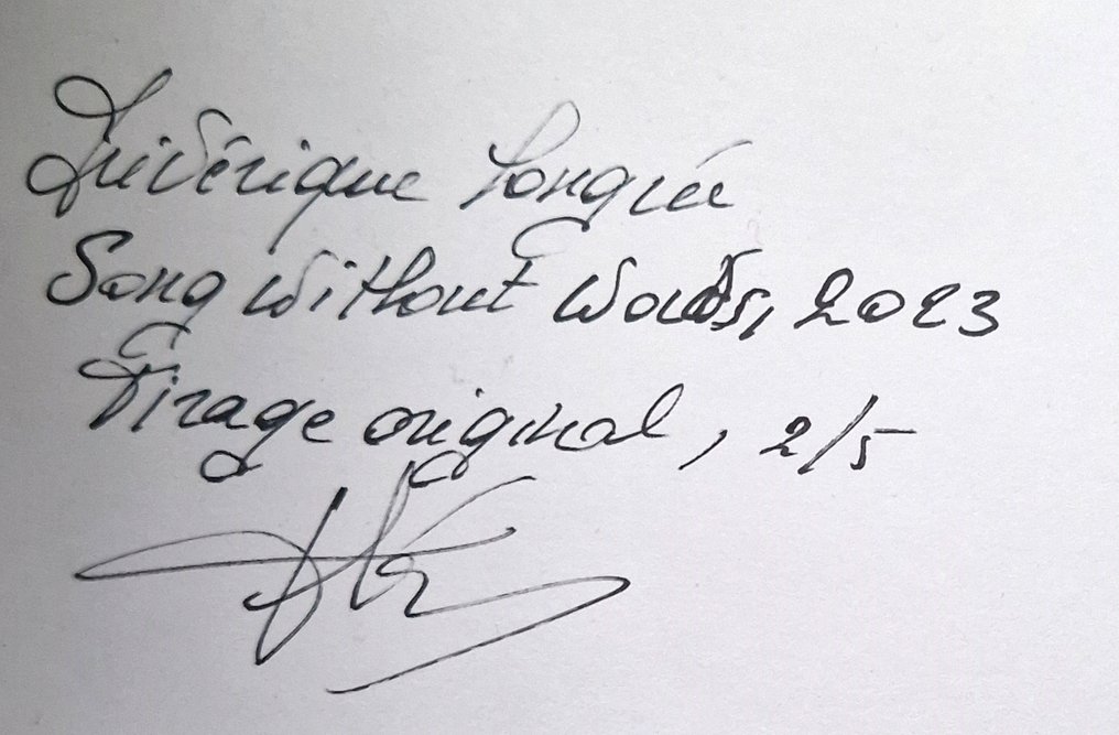 Frédérique Longrée - Song Without Words #4.3