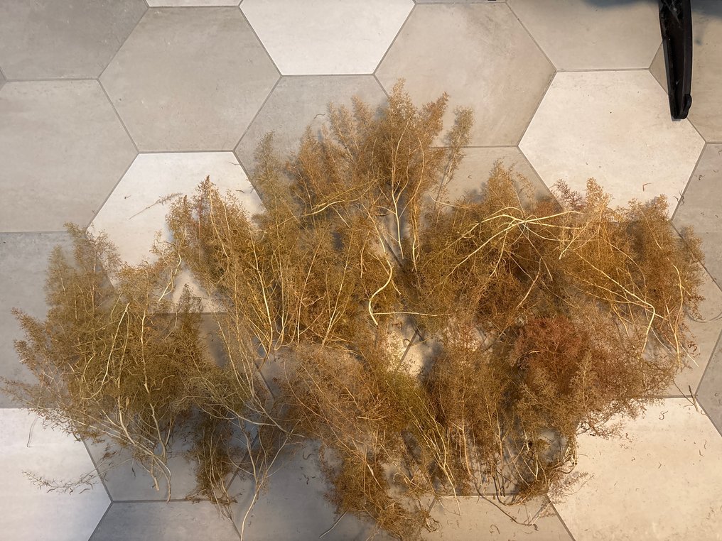 Geen meek H0 - Peisaj machetă tren (90) #1.0