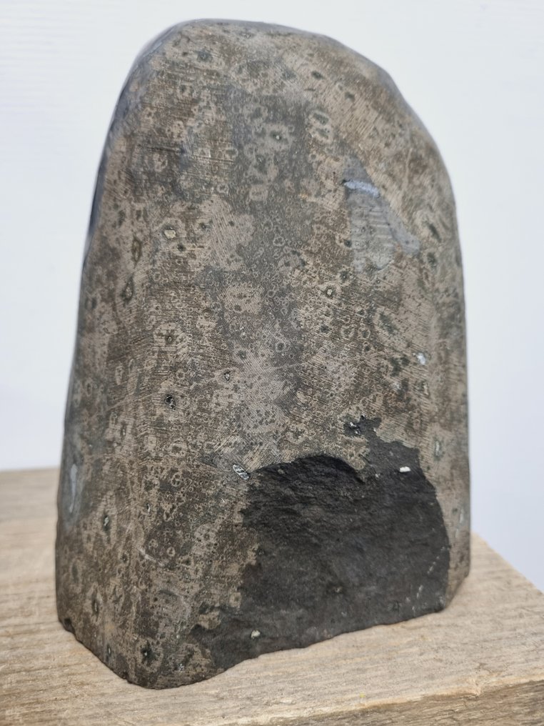 High Quality - Big Amethyst - Stalactite Cluster on luxury stand - Height: 170 mm - Width: 140 mm- 2300 g #4.3